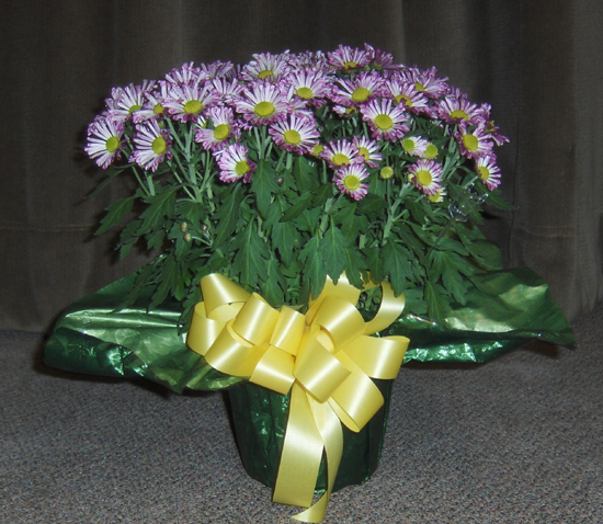 Flowers from Philip Motor and Employees
