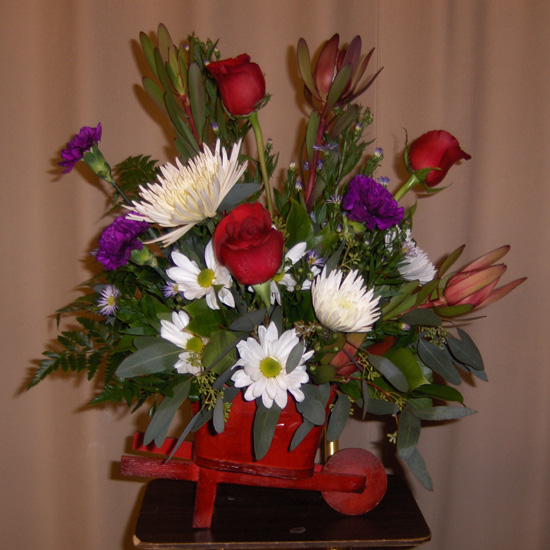 Flowers from Dan, Mary and Zack Willard