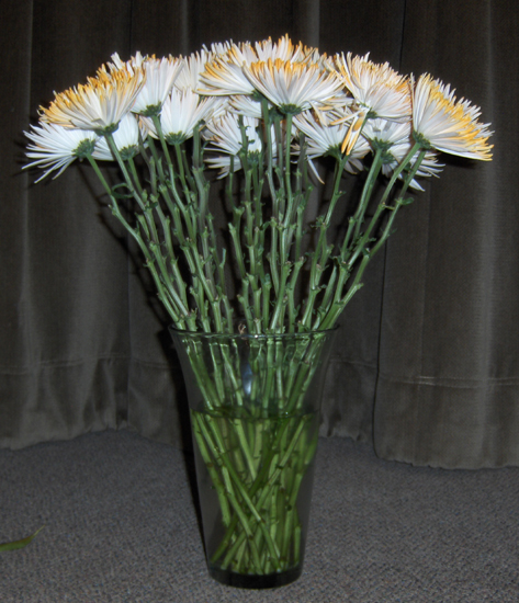 Flowers from Volleyball Girls