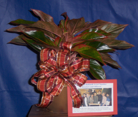 Flowers from Chamber Board of Directors and Carol Steffen Executive Director