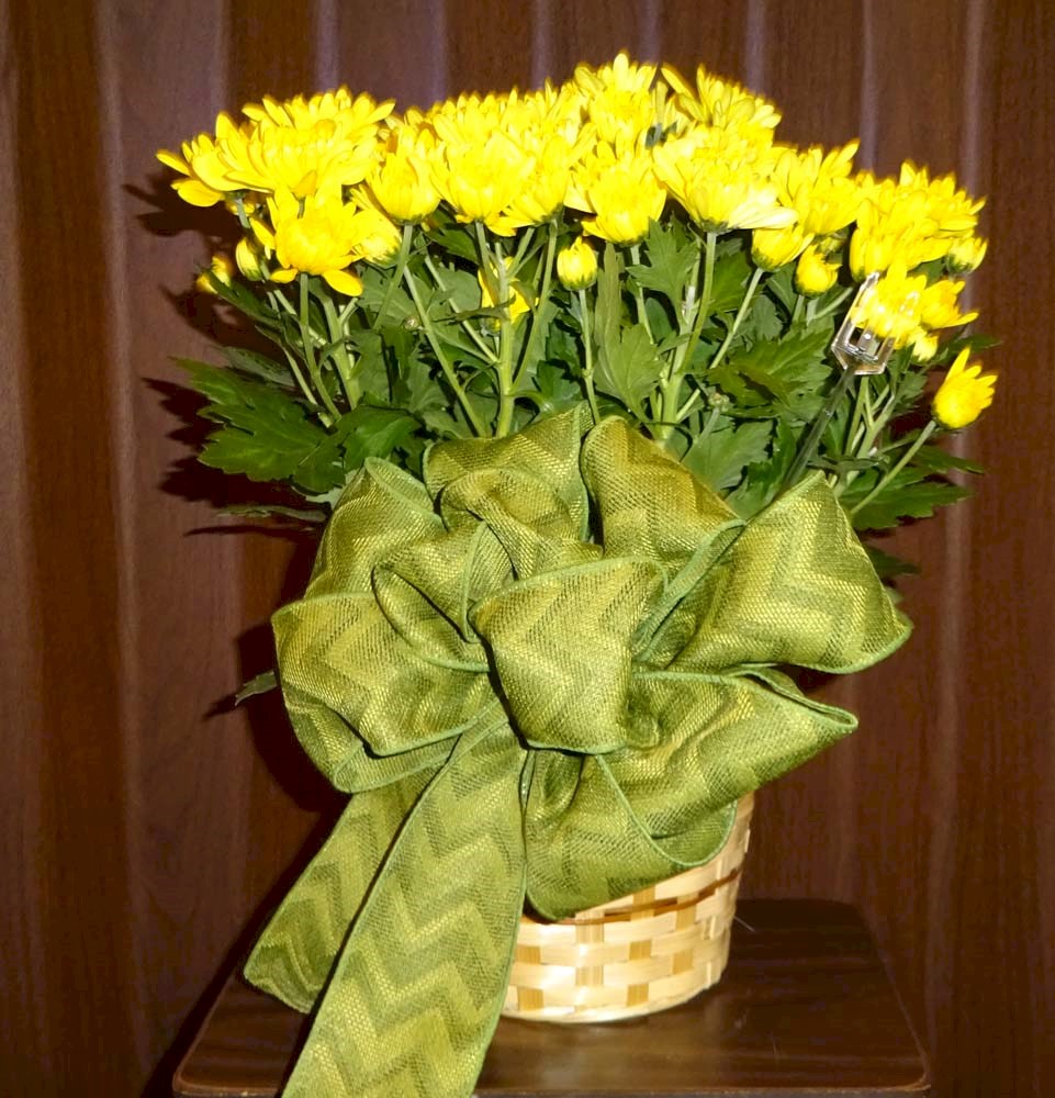 Flowers from Dakota Country Pharmacy
