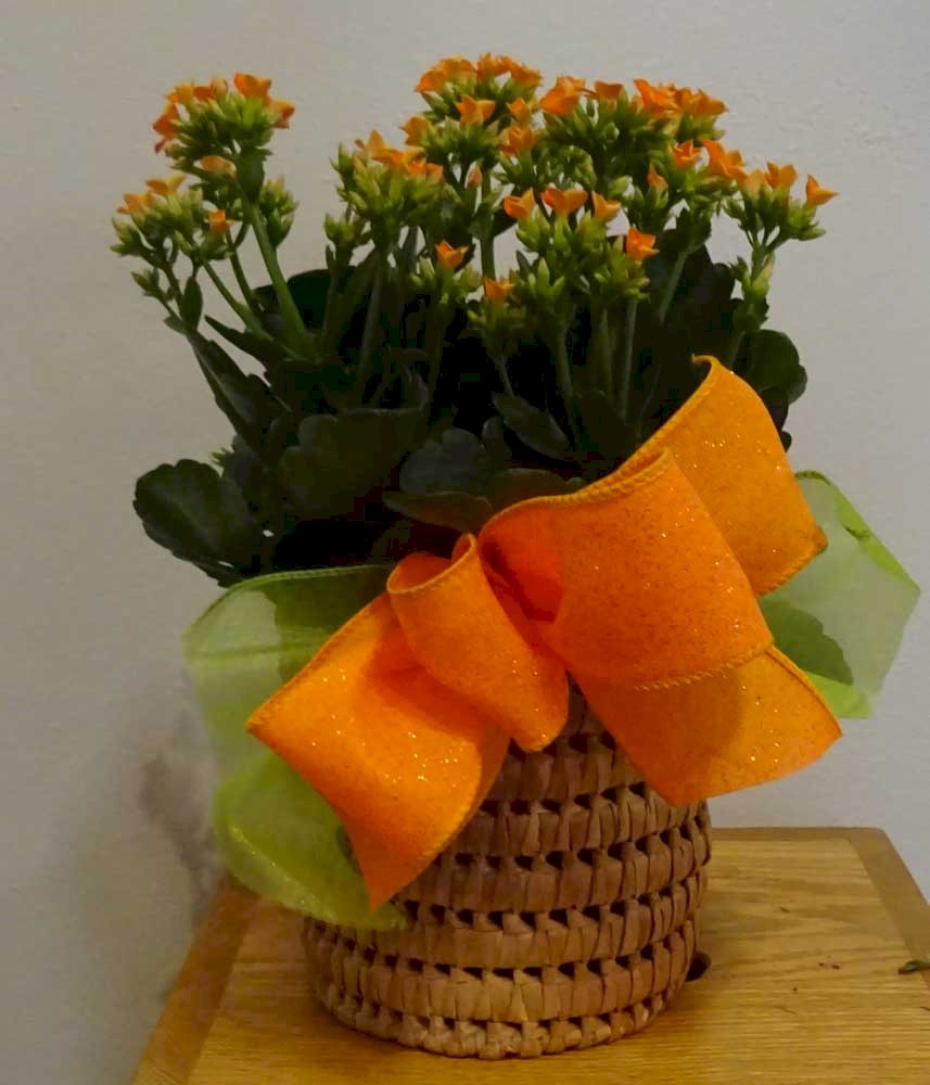 Flowers from Jim & Jami Kitterman and Girls