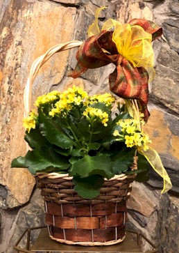 Flowers from Dakota Country Pharmacy