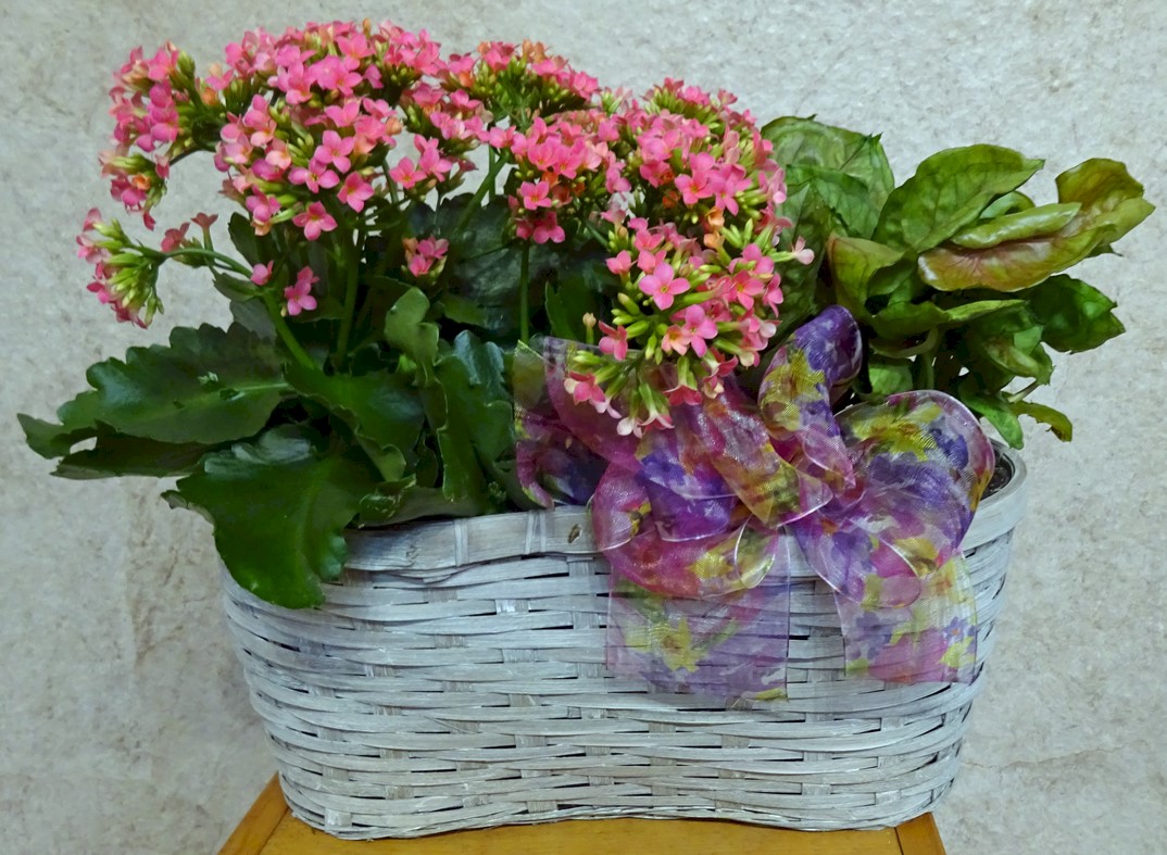 Flowers from Andy Moon Family