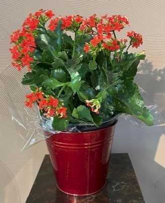 Flowers from Dakota Country Pharmacy