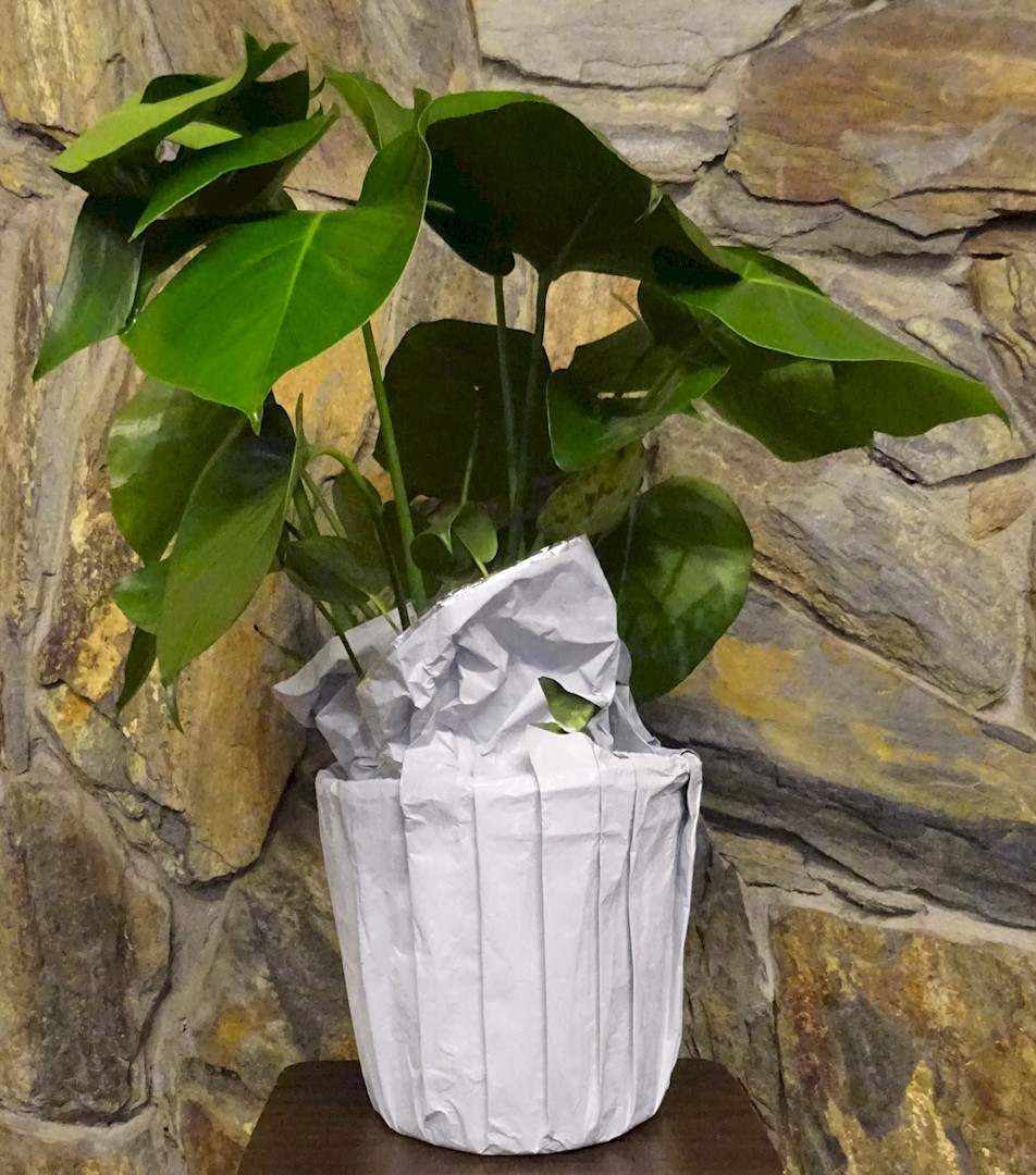 Flowers from J.R., RaeAnn, and Family and Heather, Kalvin, and Family