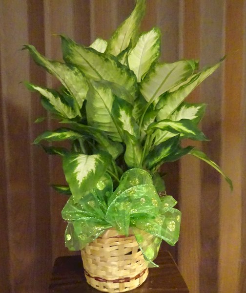 Flowers from Gene & Sheryl Michael