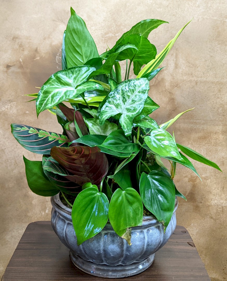 Flowers from Shelly and Judy; Jon and Theresa; Ryan and Micalanne; and Eddie, Emily, and Jack