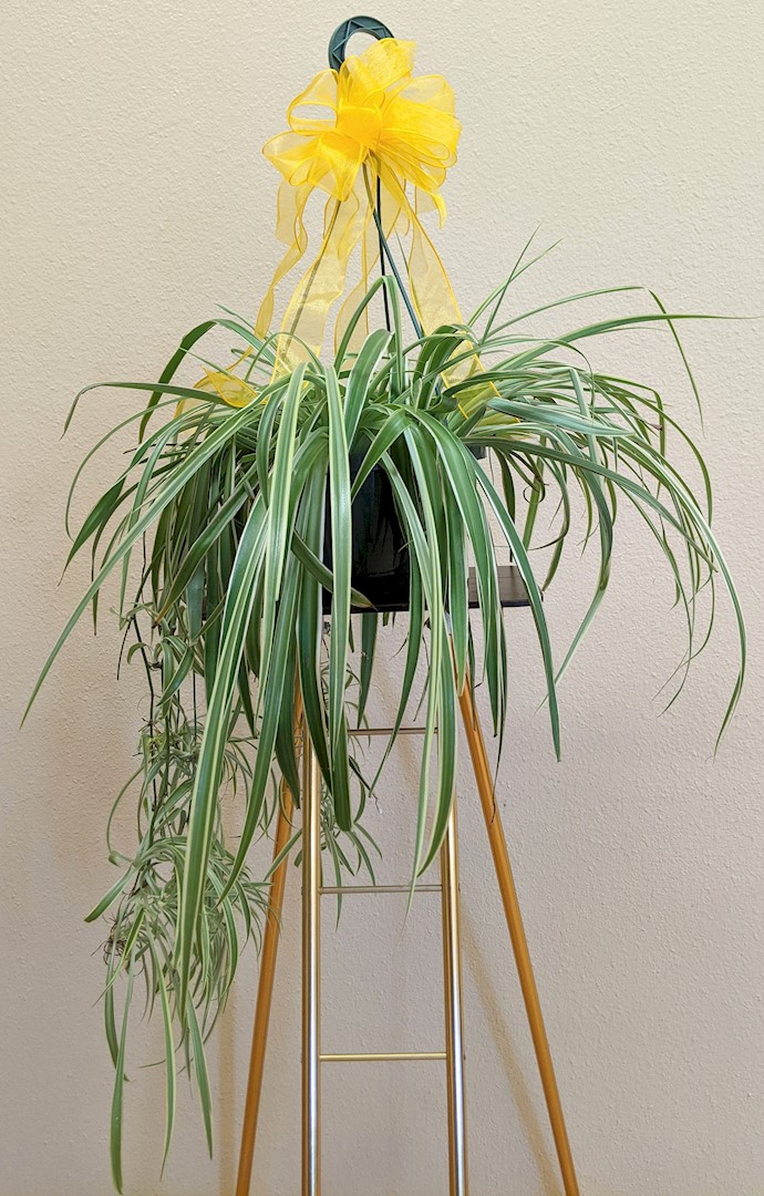 Flowers from First National Bank - Shaun, Sophie, Caroline, and Sherrie