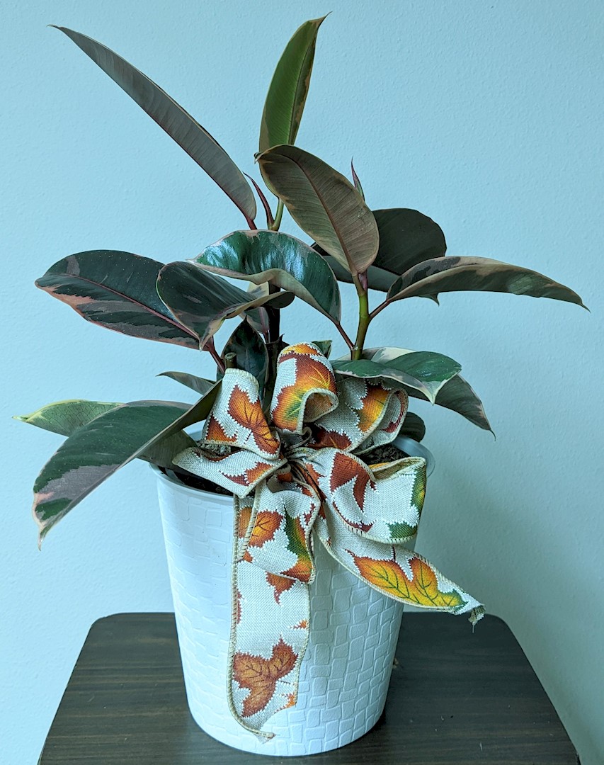 Flowers from Dakota County Pharmacy