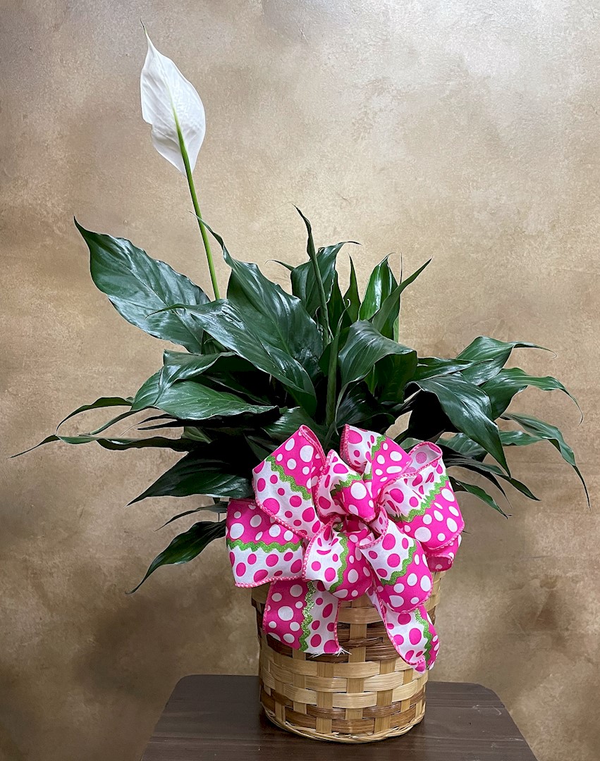 Flowers from Randy Neville and Family
