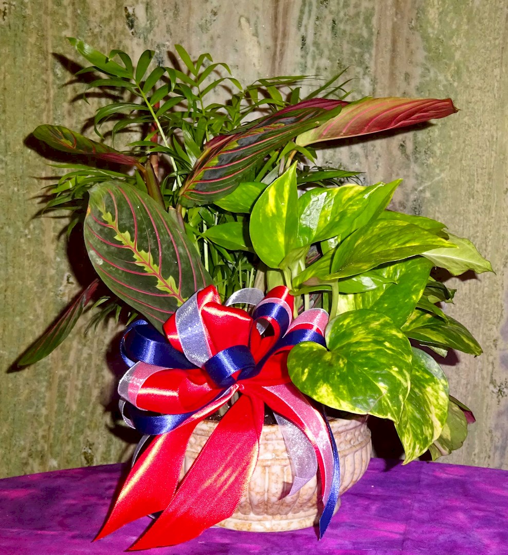 Flowers from Diana Evans