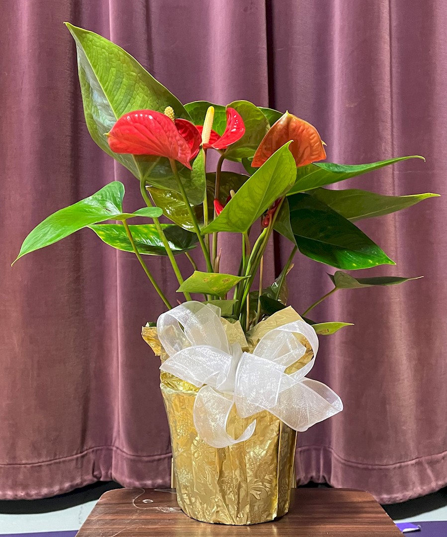 Flowers from Dakota Country Pharmacy
