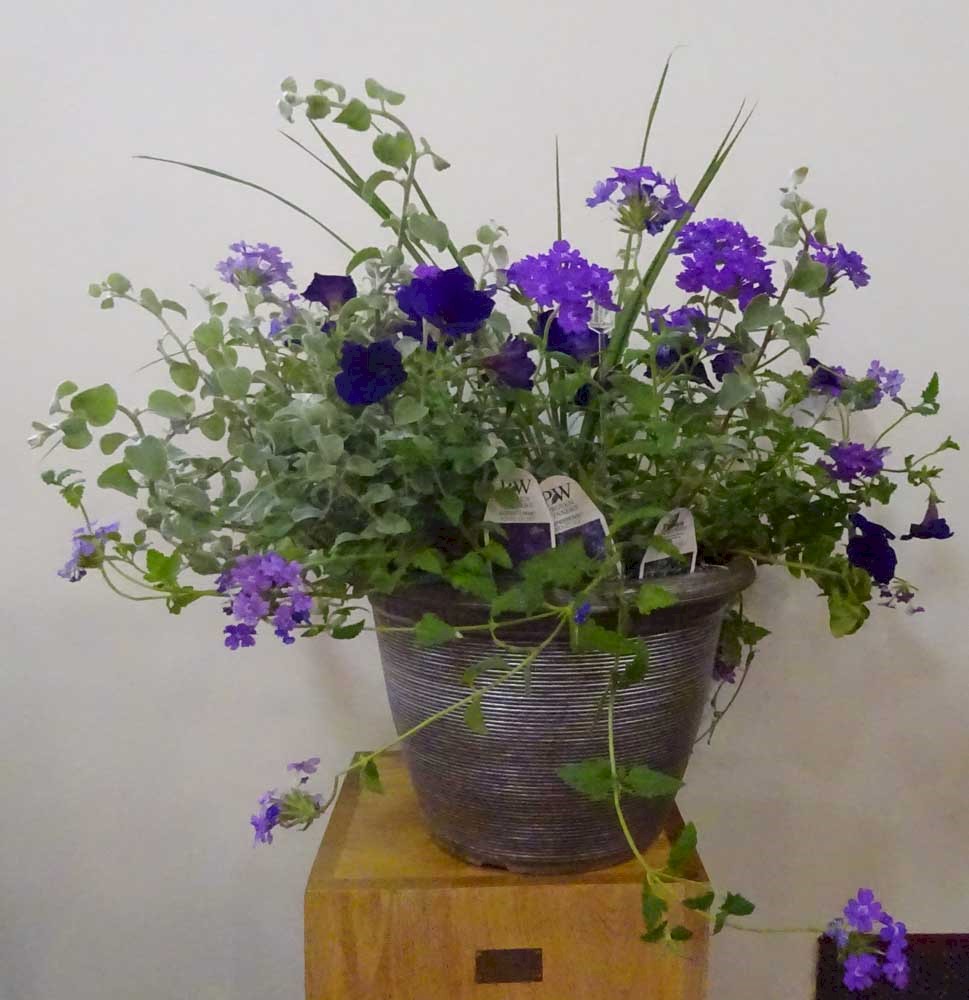 Flowers from Sharon and Ken