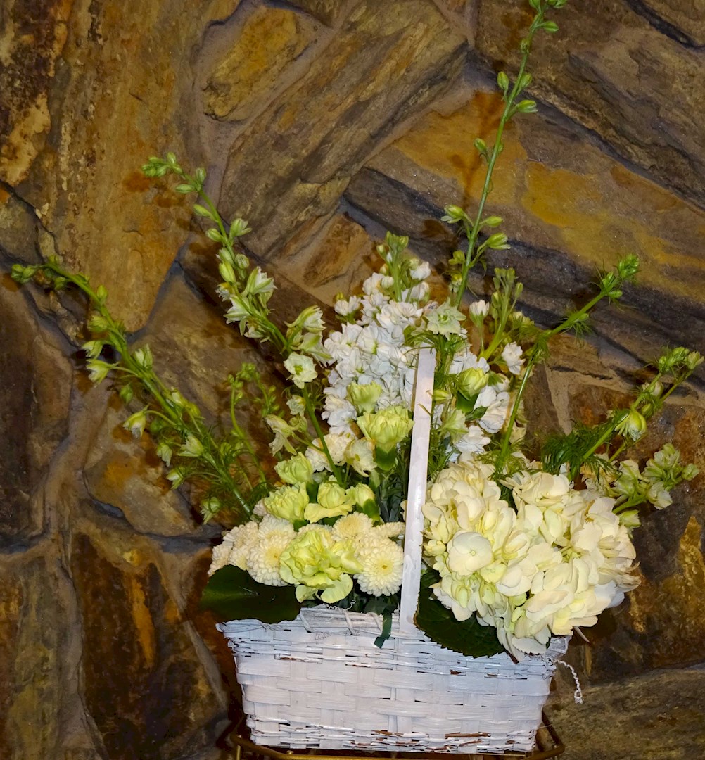 Flowers from Jim and Kayleen
Anderson