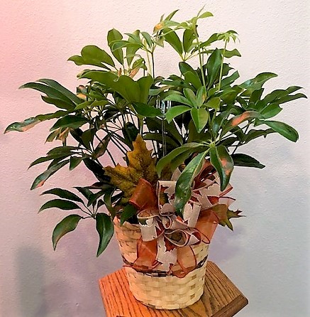 Flowers from Wall Ambulance Service