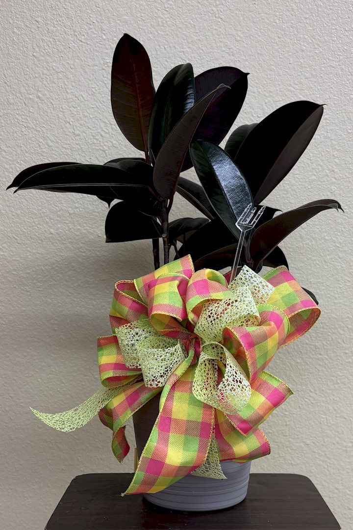 Flowers from Fort Pierre Moose Lodge 1813