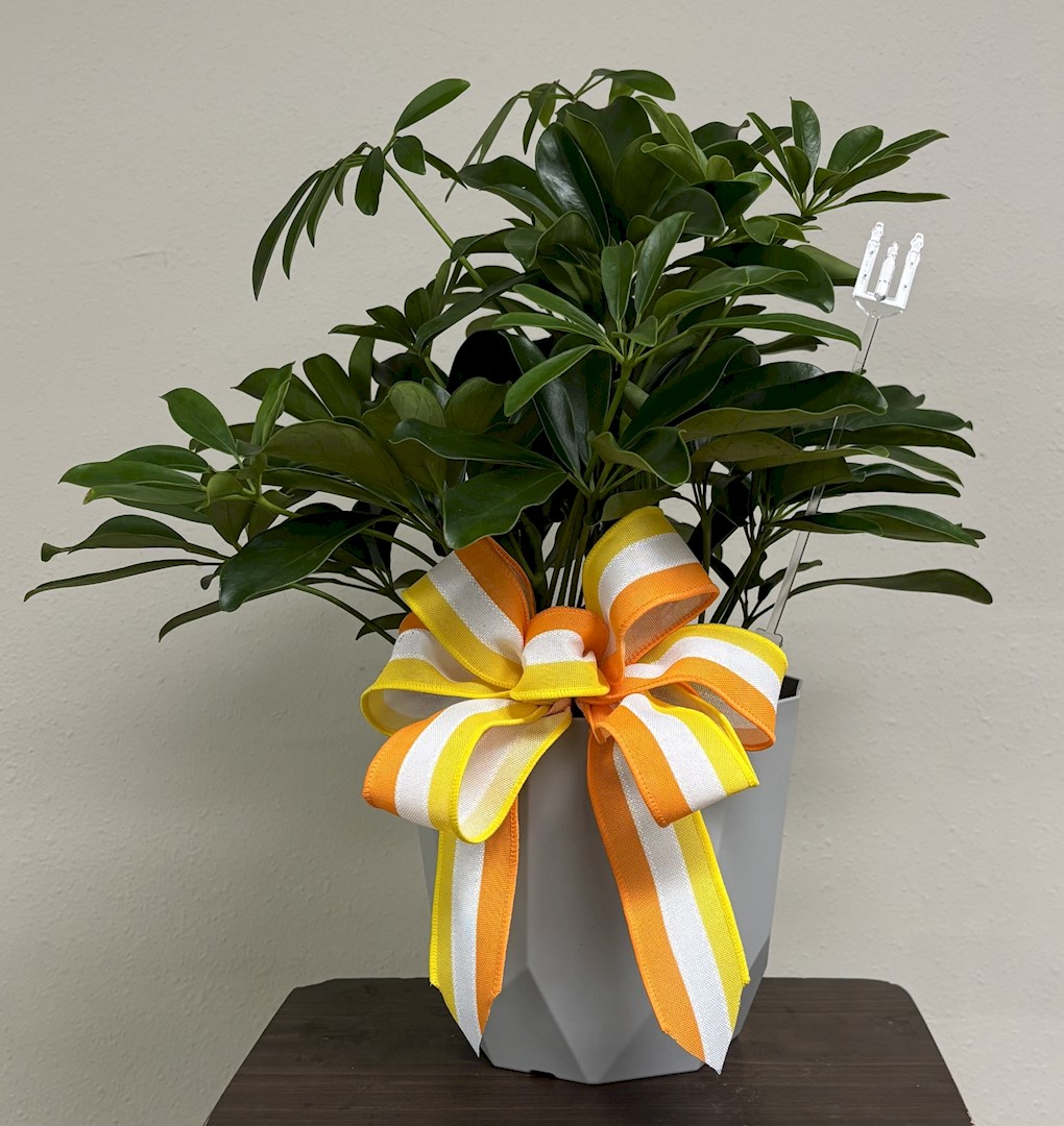 Flowers from Dakota Country Pharmacy