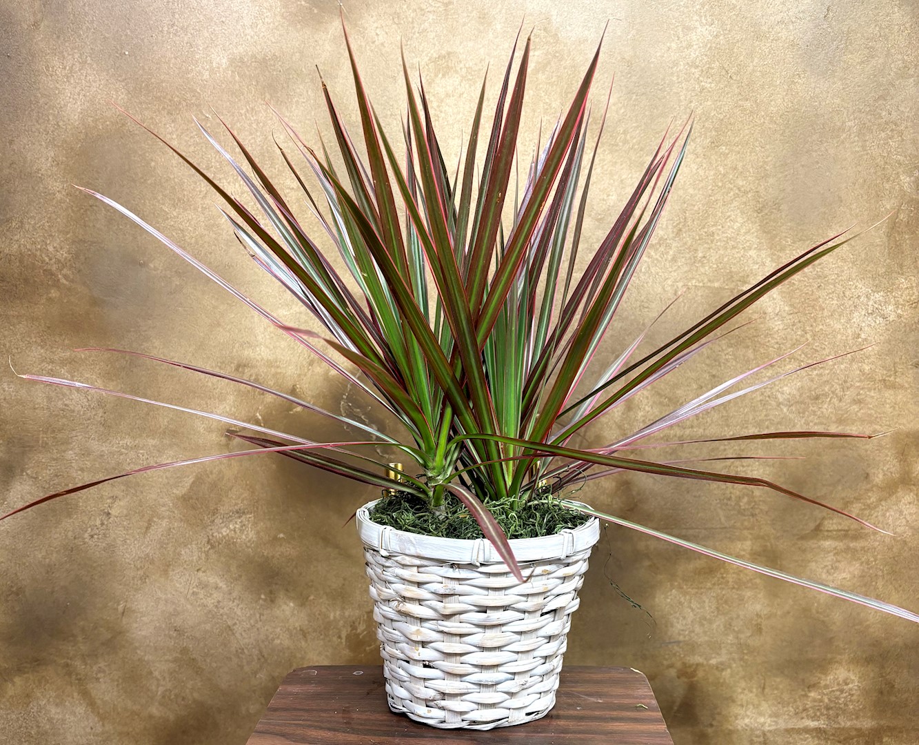 Flowers from Nathan and Brittney Drury and Family