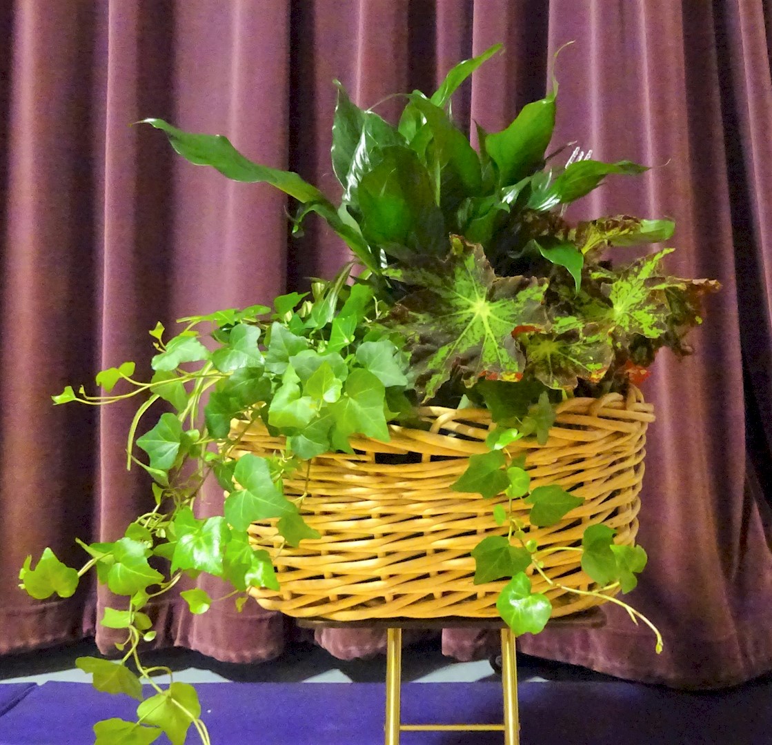 Flowers from The Hopkin's Families