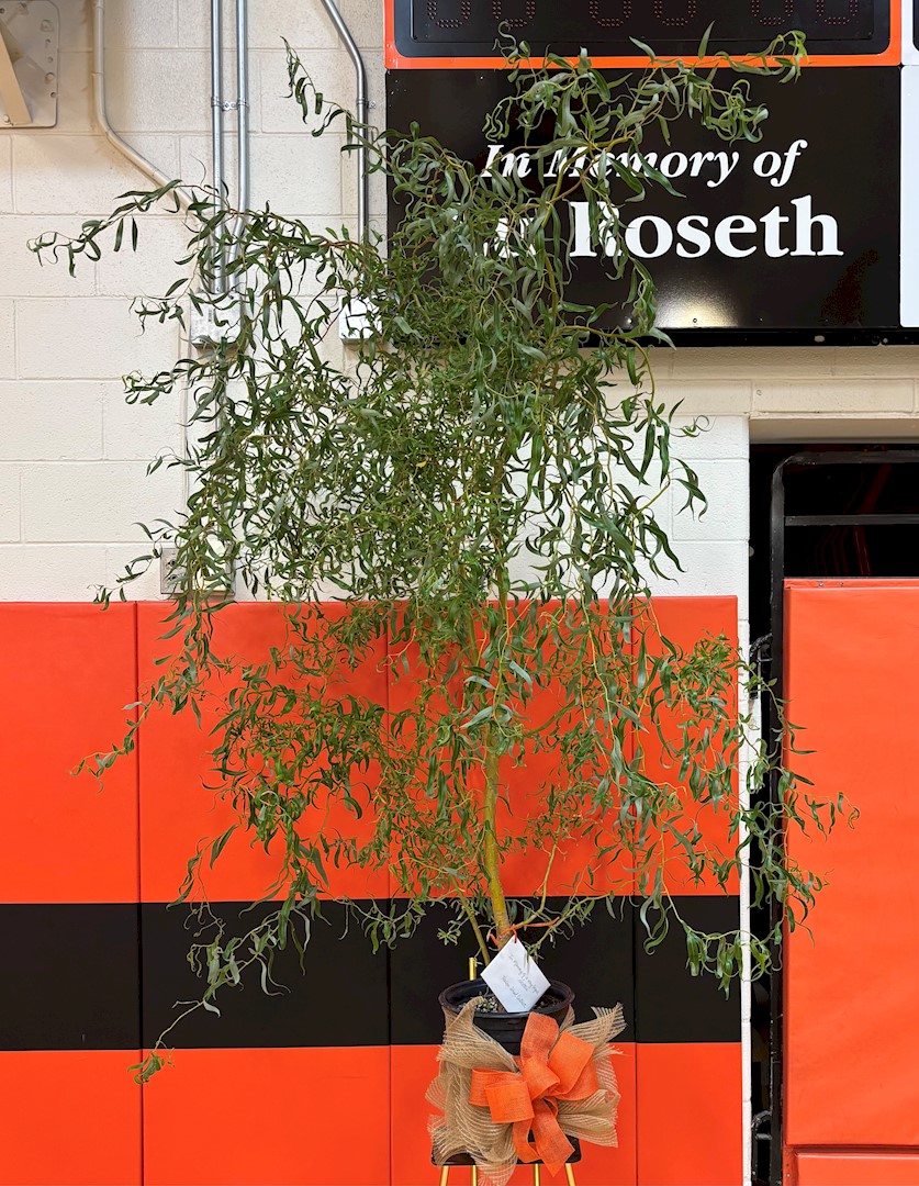 Flowers from Haakon School District