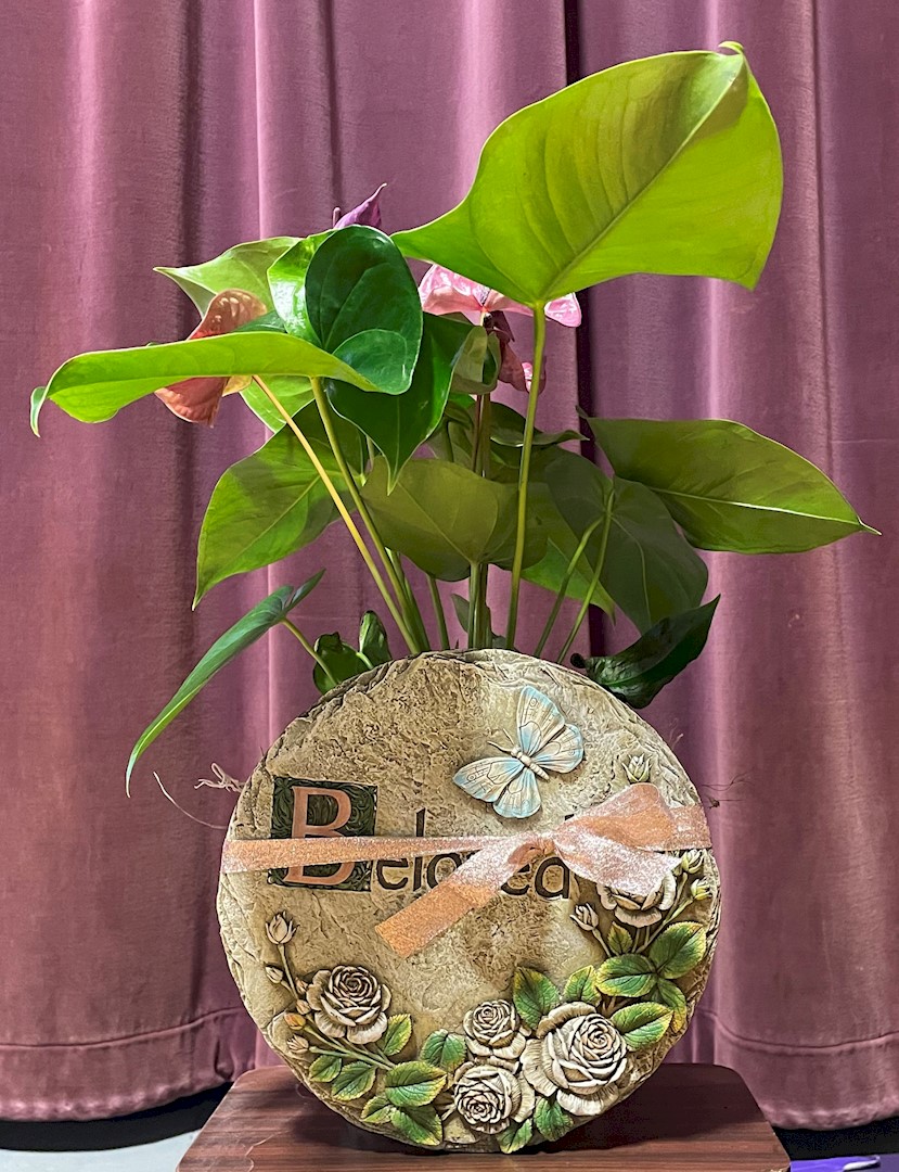 Flowers from Laure, Rusty, and Family