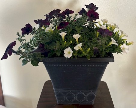 Flowers from The Helms Family