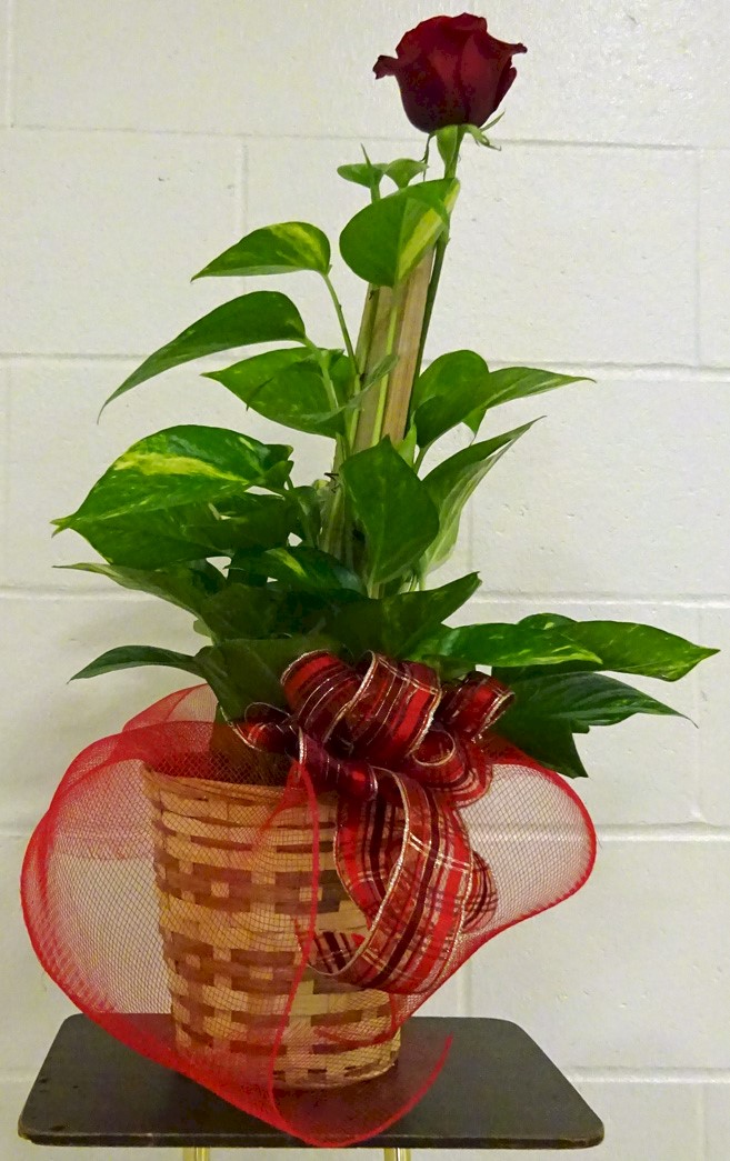 Flowers from Kathy Caslin, Tracy Brakke & Family, Shelli Collins & Family, Marty Caslin & Family, and Lorlen Husman & Family