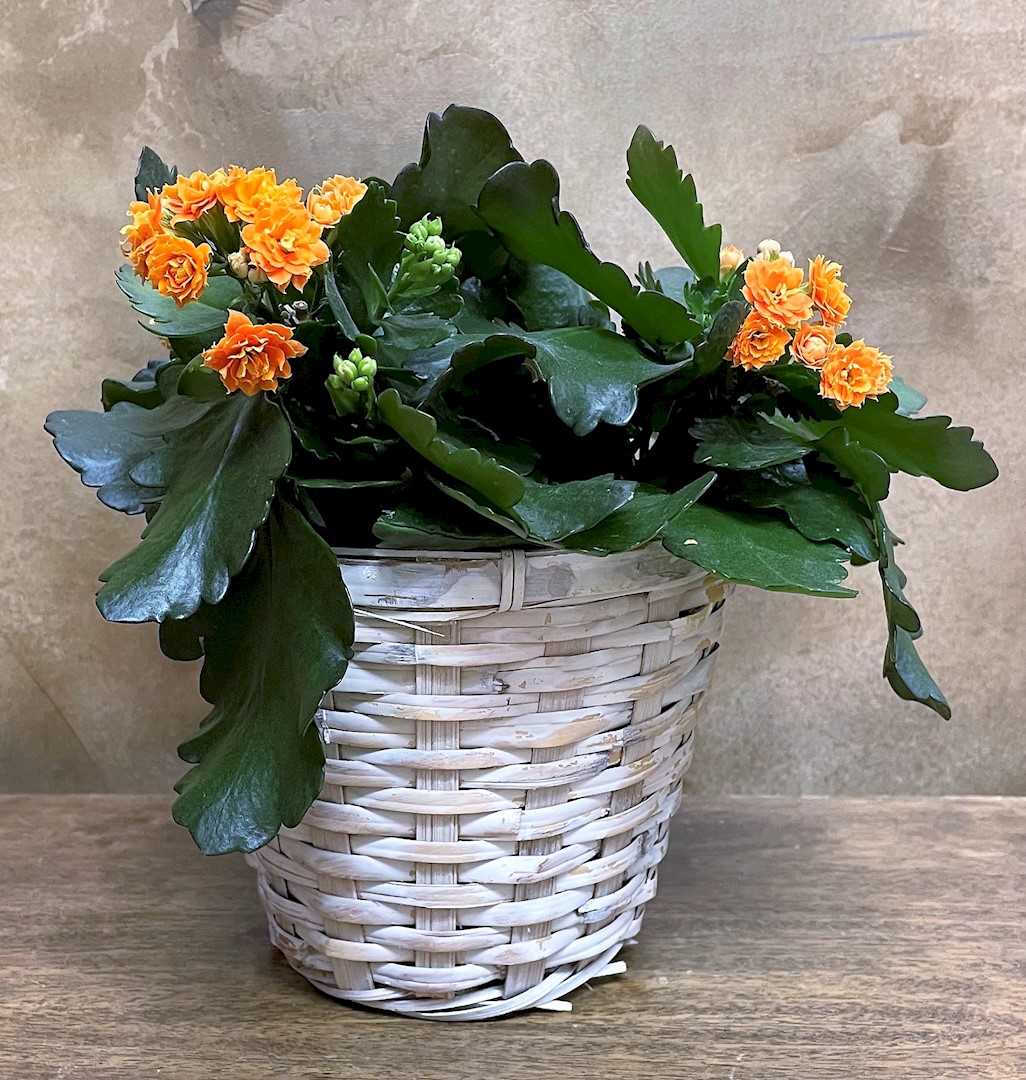 Flowers from Kadoka Nursing Home Staff and Residents
