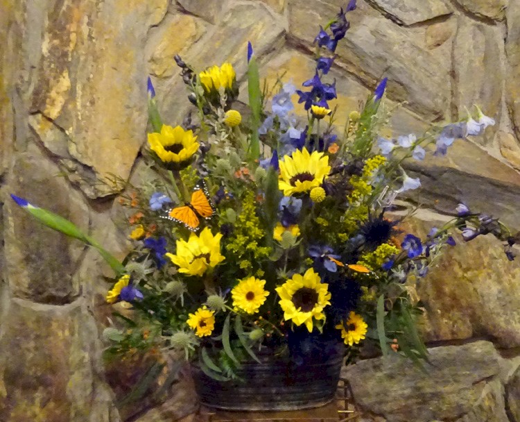 Flowers from Philip Livestock Auction