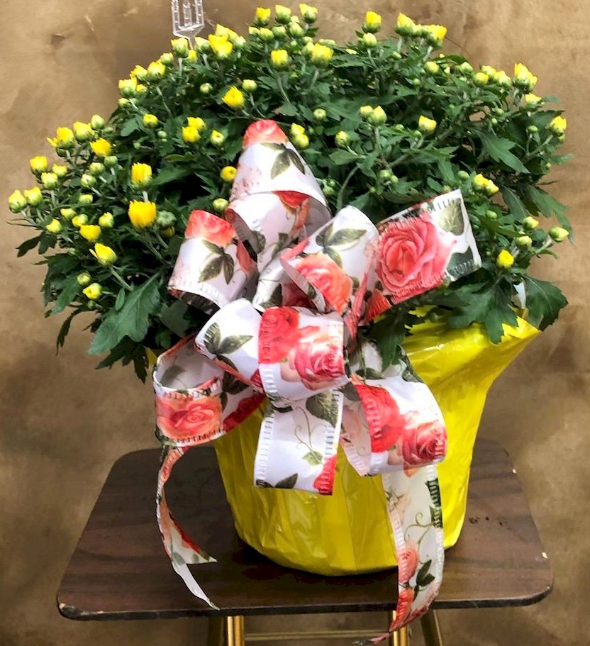 Flowers from Dakota Country Pharmacy