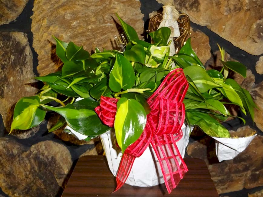 Flowers from Our Lady of Victory Parish