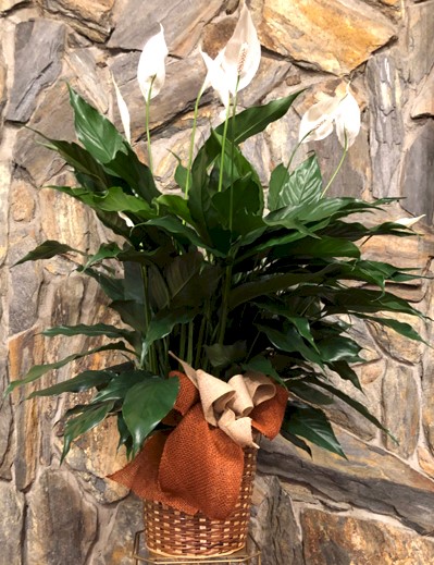 Flowers from Jim, Betty, Heidi, Marcy, Ashley, Dustin, and Families