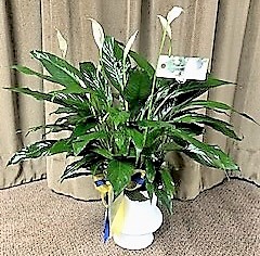 Flowers from The Forty & Eight Voiture #522 of Pierre