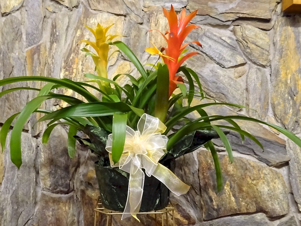 Flowers from Travis and Alyssa Stauffacher