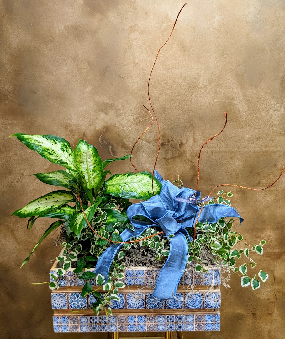 Flowers from Haakon School Sunshine Fund