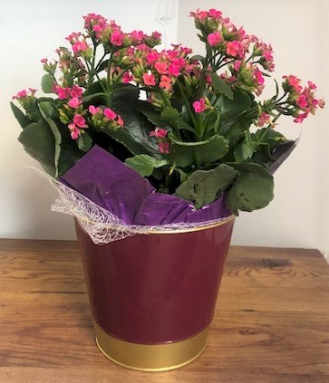 Flowers from Jay and Janell Yohner