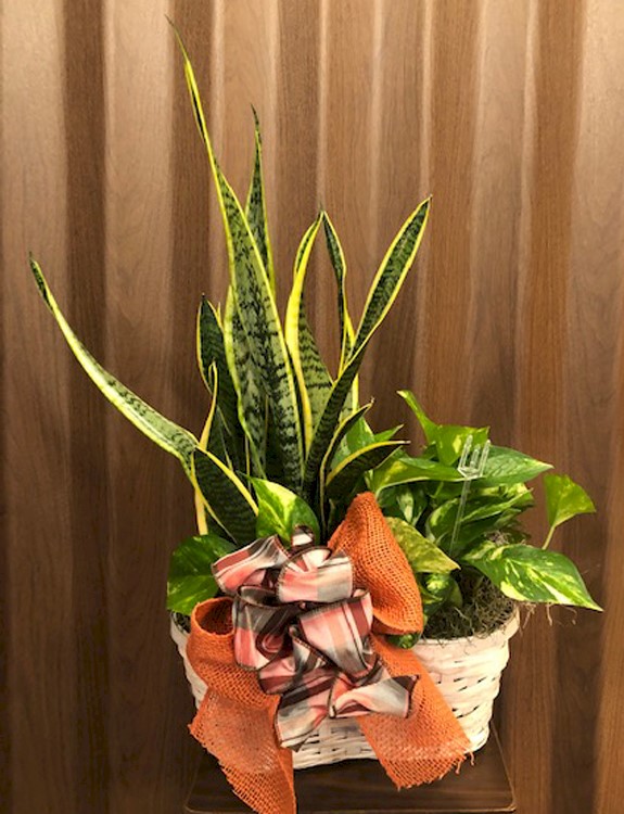 Flowers from The Willuweits
Connie, Will & Mari
Jami & JT and Families