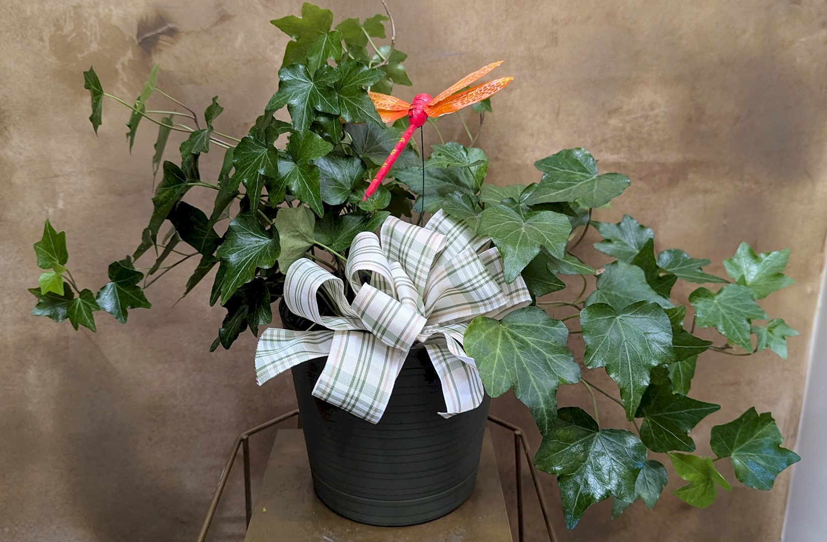 Flowers from Dakota Country Pharmacy