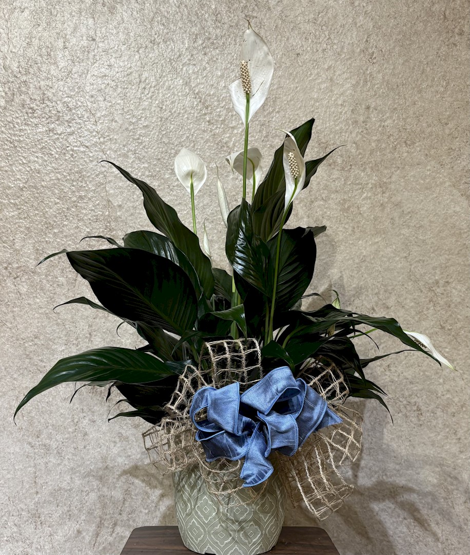 Flowers from Cathy and Brent Nielsen