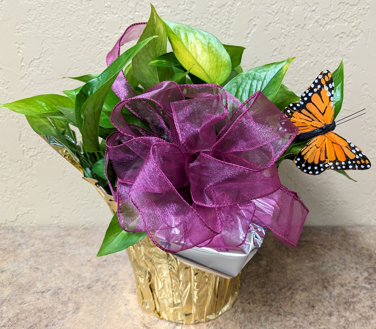 Flowers from Dakota Country Pharmacy
