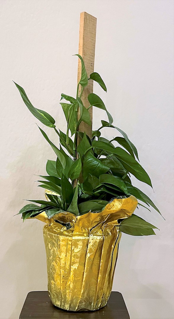 Flowers from Class of 1990