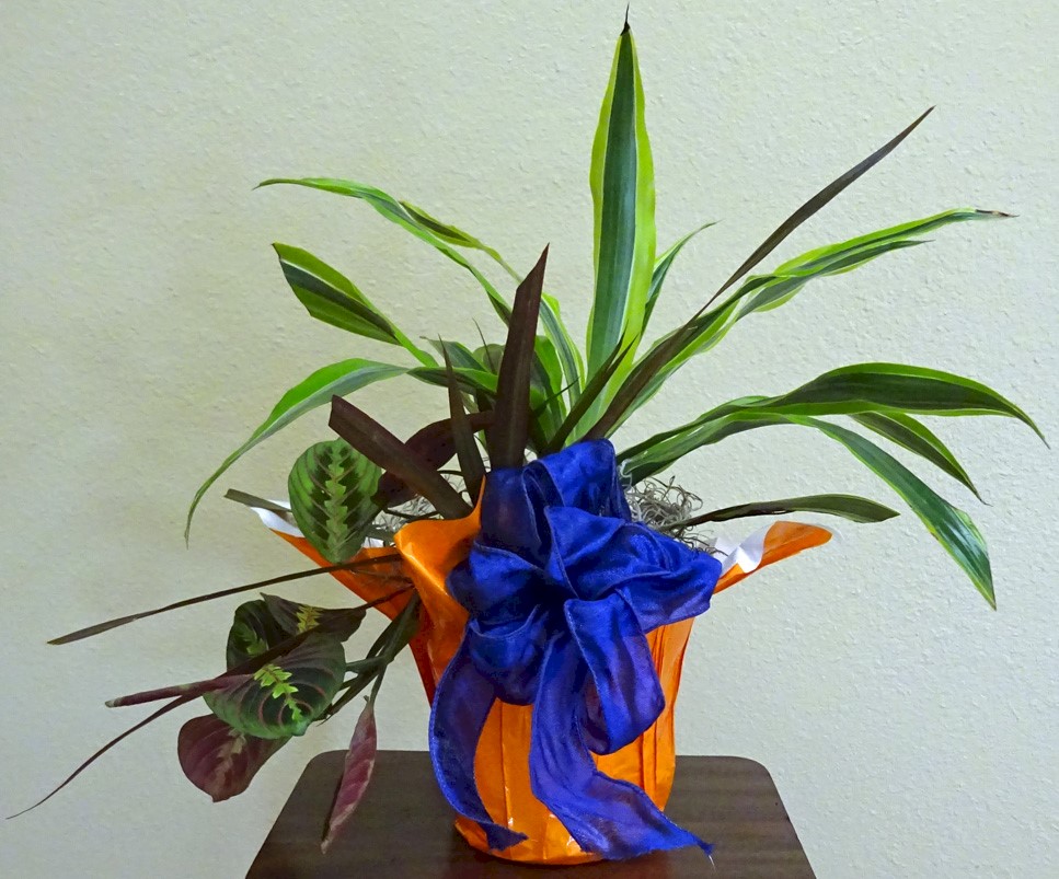 Flowers from Jones County School Board and Administration