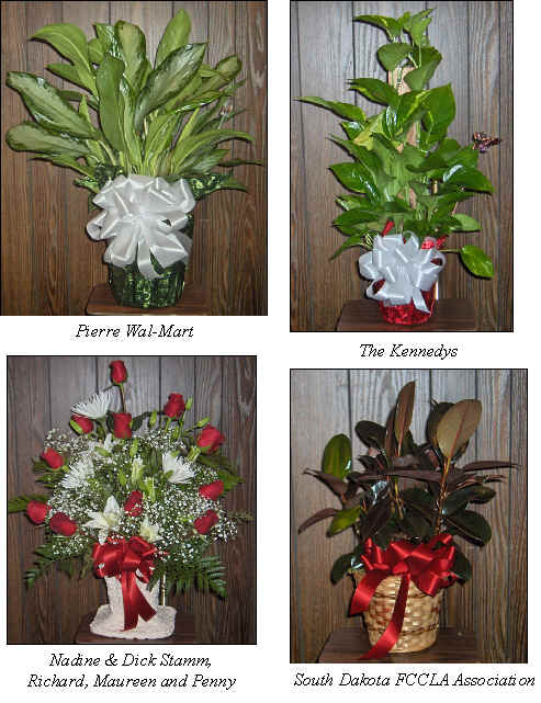 Flowers from 