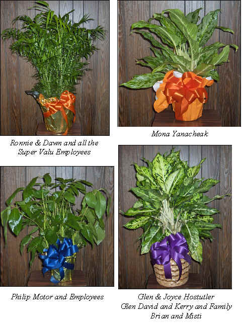 Flowers from 