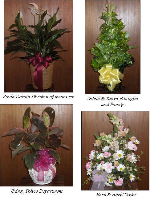 Flowers from 