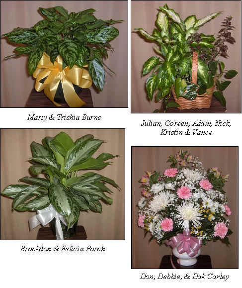 Flowers from 