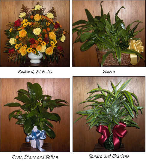 Flowers from 