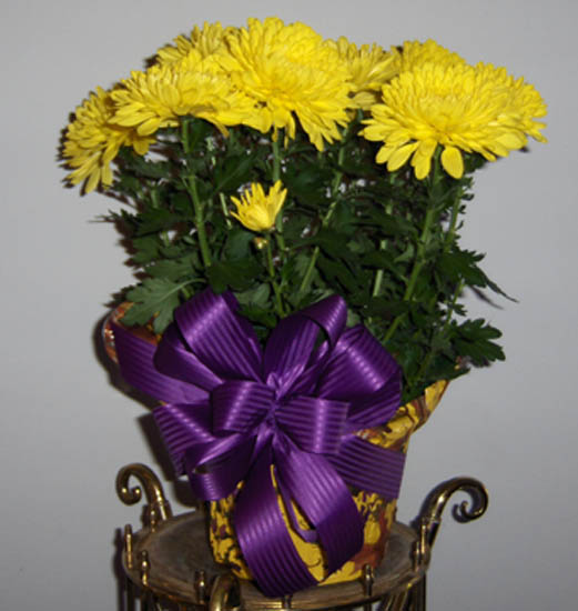 Flowers from Bernard & Shirley Lee
