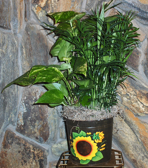 Flowers from Morrison's Pit Stop
